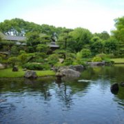 所沢航空記念公園